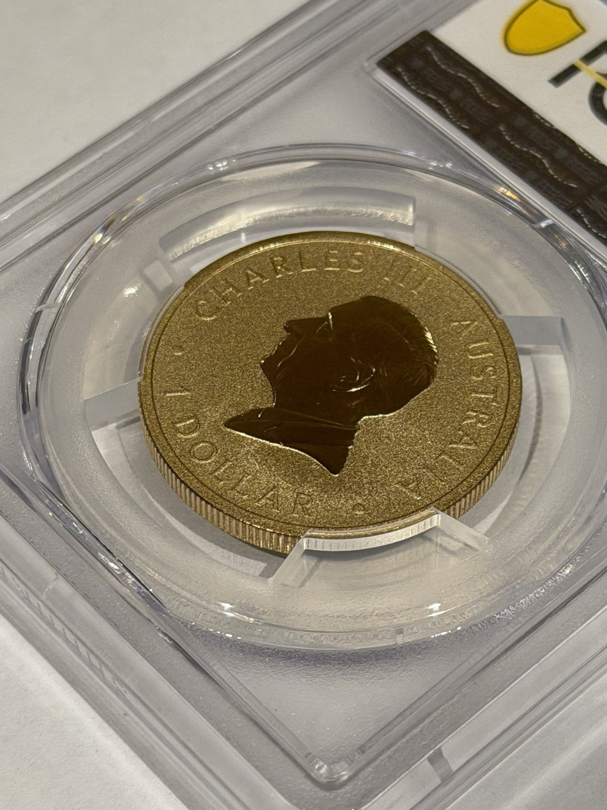 2025-P $1 One Dollar Ngana Nyitting Blue River PCGS Graded MS70 Coloured Coin