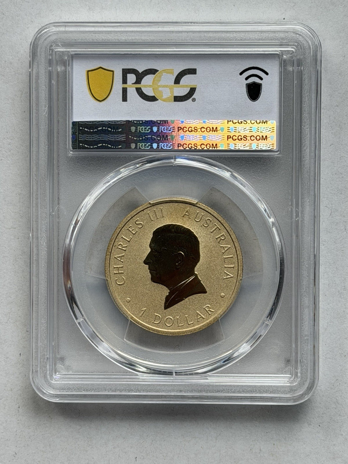 2025-P $1 One Dollar Ngana Nyitting Blue River PCGS Graded MS69 Coloured Coin