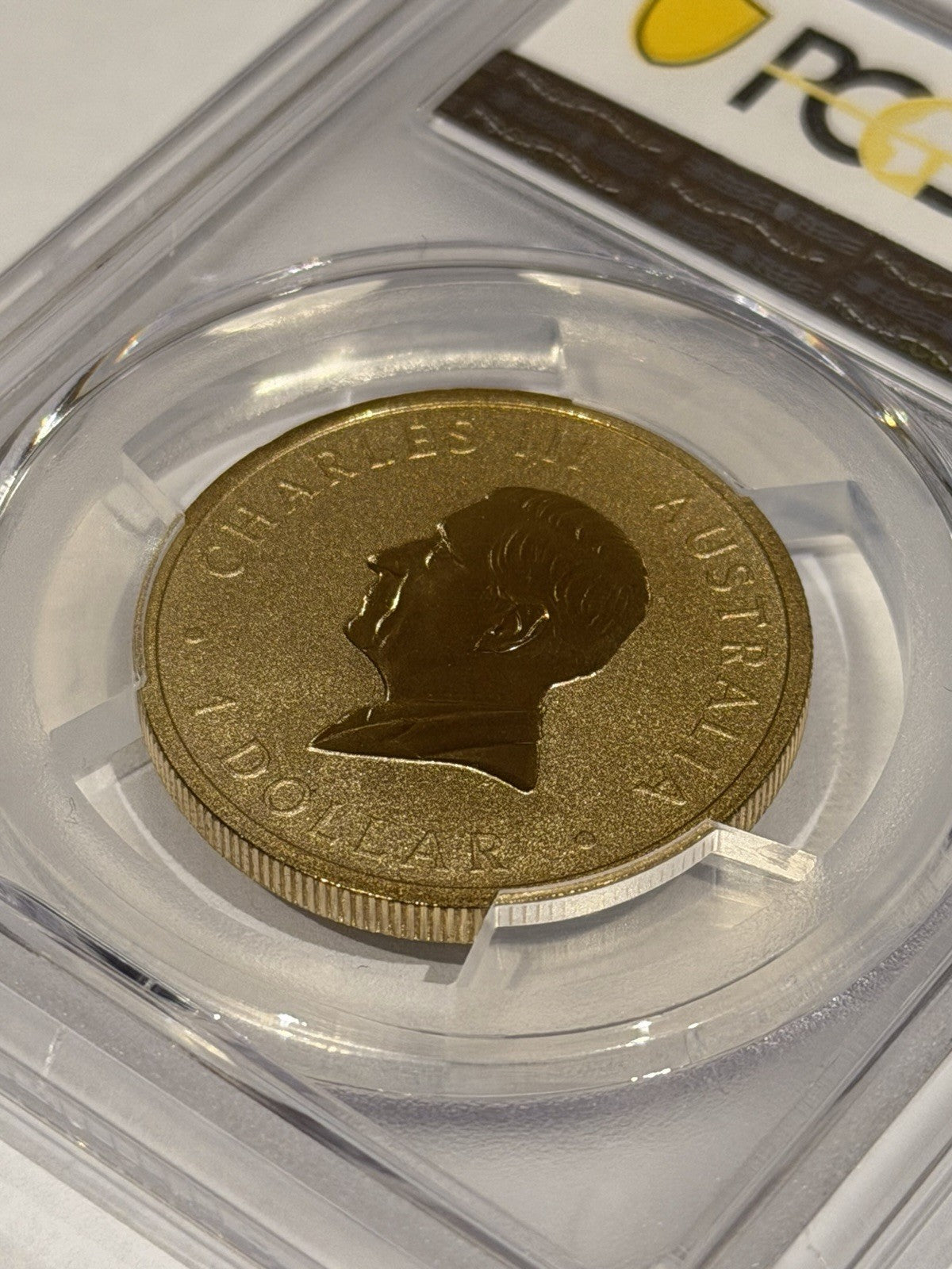 2025-P $1 One Dollar Ngana Nyitting Blue River PCGS Graded MS69 Coloured Coin