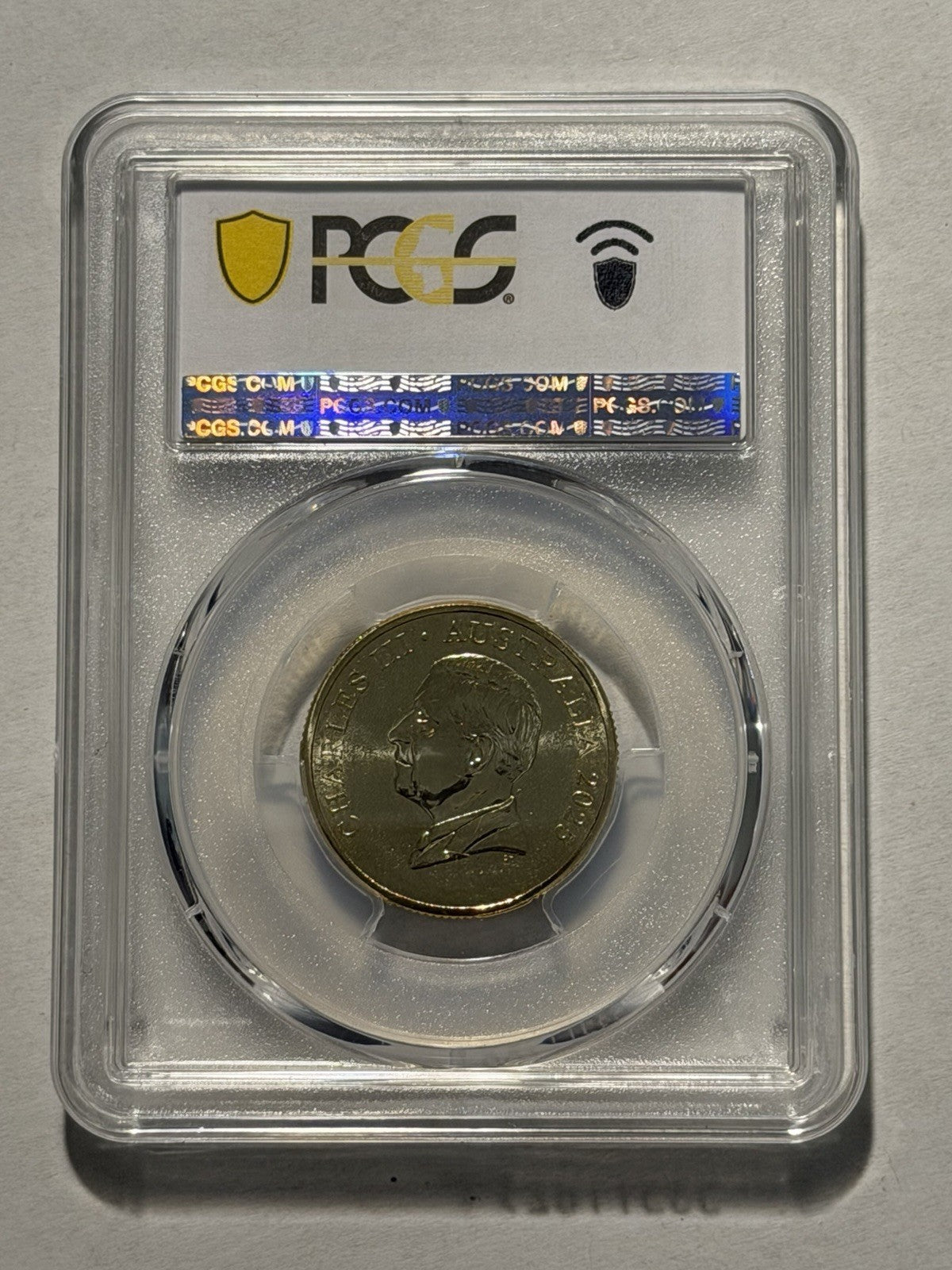 Australia 2025 $1 One Dollar Bluey Christmas PCGS Graded MS67 Coloured Coin
