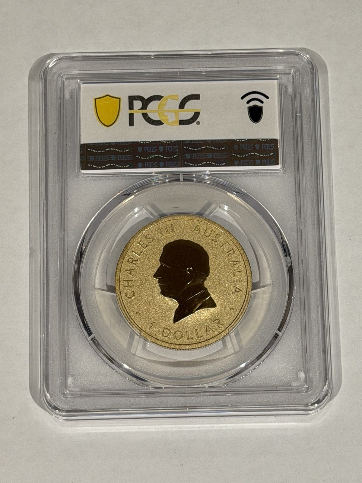 2025-P $1 One Dollar Ngana Nyitting Blue River PCGS Graded MS70 Coloured Coin