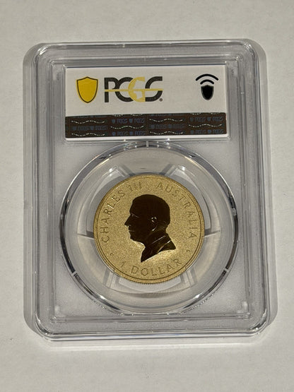 2025-P $1 One Dollar Ngana Nyitting Blue River PCGS Graded MS70 Coloured Coin