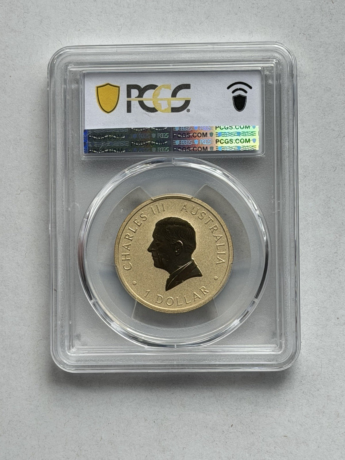 2025-P $1 One Dollar Ngana Nyitting Blue River PCGS Graded MS70 Coloured Coin