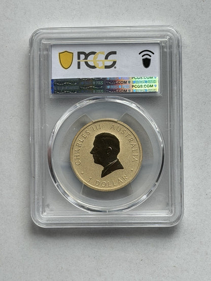 2025-P $1 One Dollar Ngana Nyitting Blue River PCGS Graded MS70 Coloured Coin
